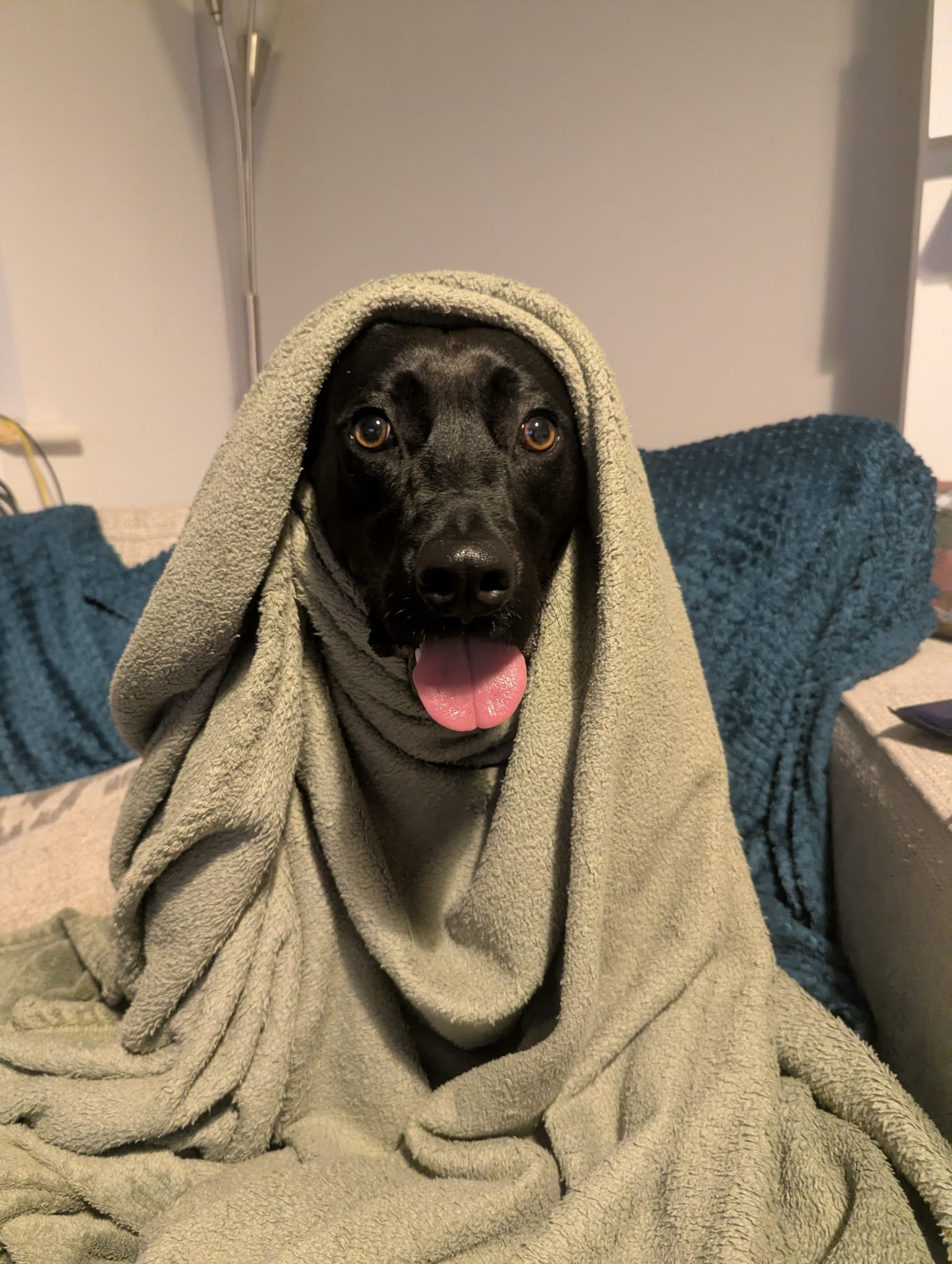 Miss Luna